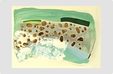 Rocky Beach - Painting by Barry McCullough