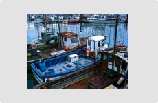 Fishing Boats in Kinsale, Ireland - Photograph by Barry McCullough